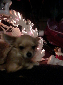 Готовимся к новому году