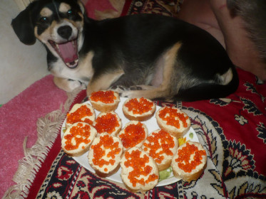 ШОБ... Я ТАК ЖИЛ