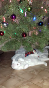 ЛУЧШИЙ ПОДАРОЧЕК ЭТО Я!!!