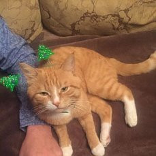 А я уже встретил!