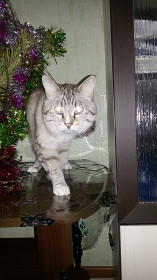 Прыжок в 2017 год