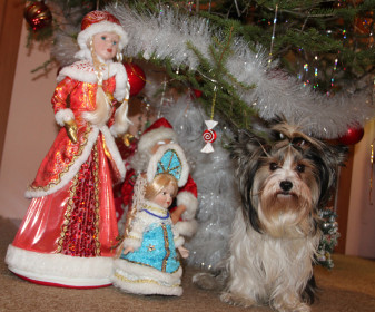 Снегурочки