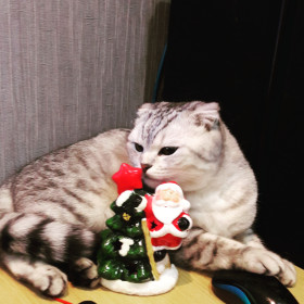 Мосик и Дед Мороз