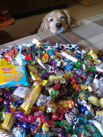 А запах так пленит и манит.