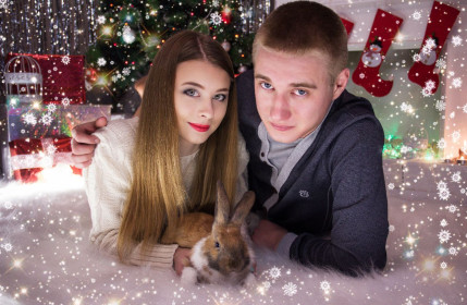 Ждем новогоднее чудо..