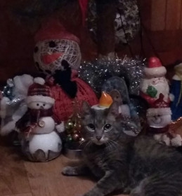 Наш лучший друг семьи