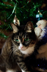 Страстный новый год ❤