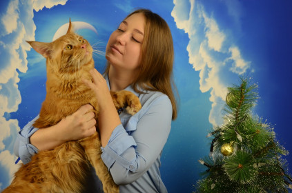 Новогодняя сказка