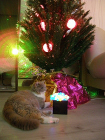 Самый главный подарок