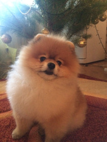 А где же мой подарок?