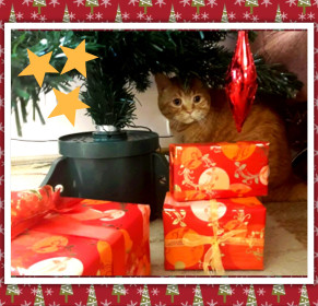 А где мой подарок?