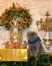 Новогоднее волнение