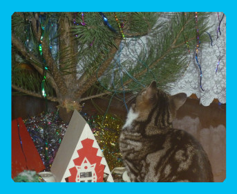 Мусёнок:- Ну очень высоко.Мяу-у!