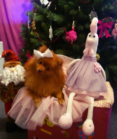 Вот и наступил год петуха!