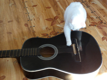 Гитаристка