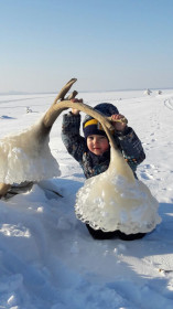 Маэстро,музыку!