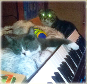 Спи, моя радость