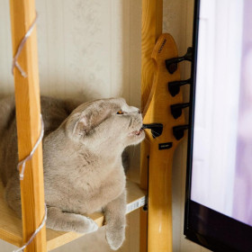 Настройка инструмента