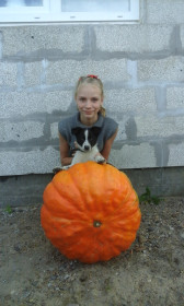 Вот так тыква,15 килограммов.