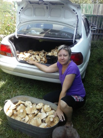 Дальневосточный деликатес.