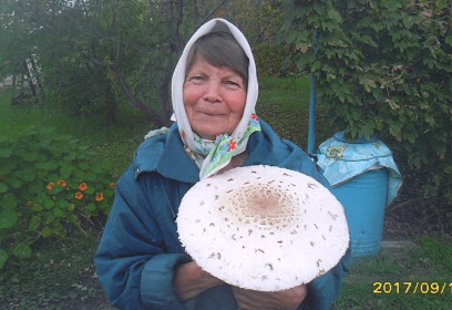 Грибочки у нас в лесу