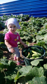 Ох и хороши огурчики)