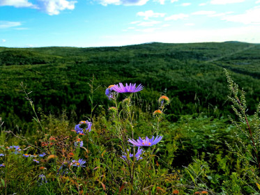 Сковородинские сопки