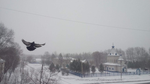 Храм в Рачихинске