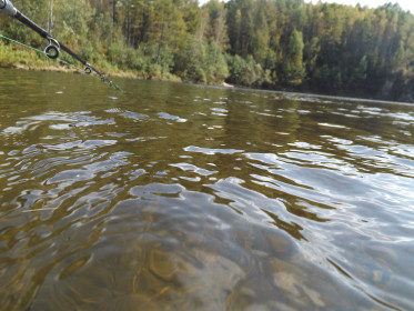 Селемджинский район, р.Нижняя Стойба