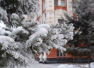Морозная сказка. Благовещенск