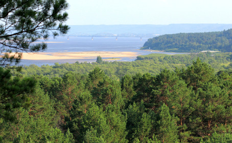 Вид на мост с Мухинских сопок