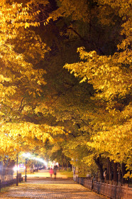 Благовещенск