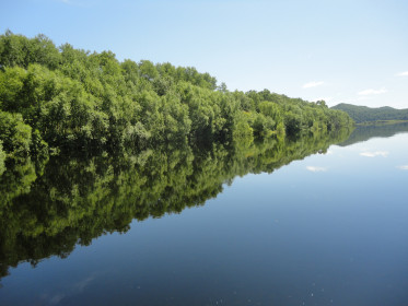 Фото сделано  в зоне затопления Нижнебурейской ГЭС. Июль, 2017 года