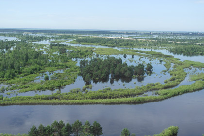 Река Томь вышла из берегов, вид снят с Белой горы, впереди федарельная трасса "Амур", мост разделяющий Серышевский и Белогорский районы.