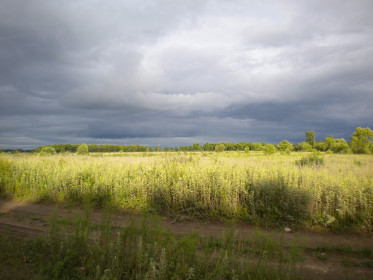 Снимок сделан в Михайловском районе Амурской области.