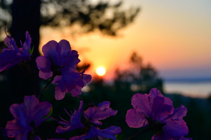 Рассвет на Мухинке