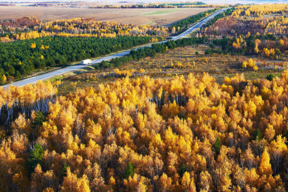 Федеральная трасса "Амур" в районе Белогорска.