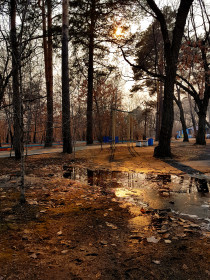 Первомайский парк, весна.