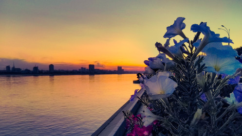 Фотография была сделана летом на набережной г. Благовещенска