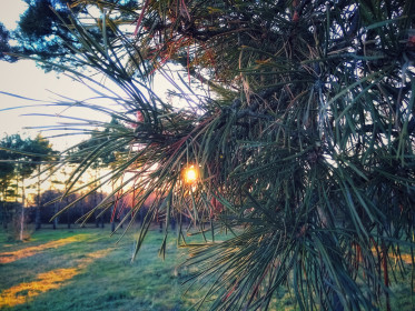 Фото сделано в селе Лозовом