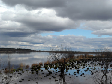 Река  Томь г. Белогорск