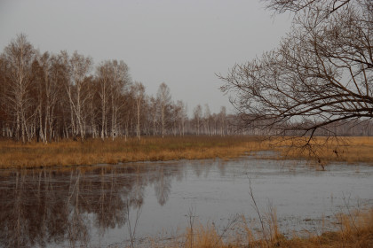 Белогорск, район Автобата