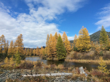 Снимок сделан в Тындинском районе, в сентябре