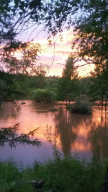 Сковородинский район. Август 2017