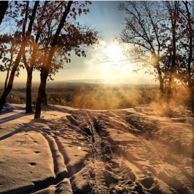 Михайловский район, с. Поярково