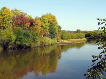 Окрестности села Албазинка.
