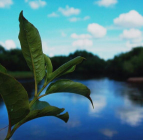 Снимок сделан в селе Белый Яр