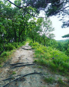 Сопки в районе озера Песчанка Благовещенский район