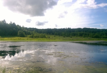 Романтичное место-озеро в районе с. Плодопитомник вблизи базы отдыха "Золотой дракон" г. Благовещенск