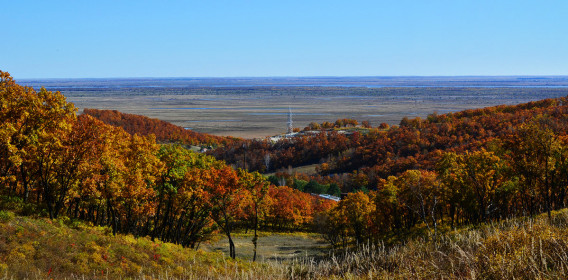Вид на Призейскую низменность, район т/б "Снежинка".